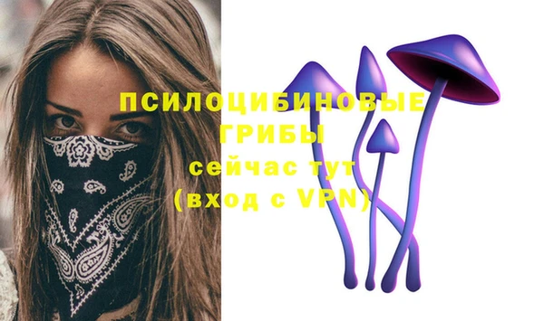 прущий лед Абдулино