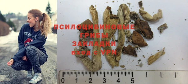 прущий лед Абдулино