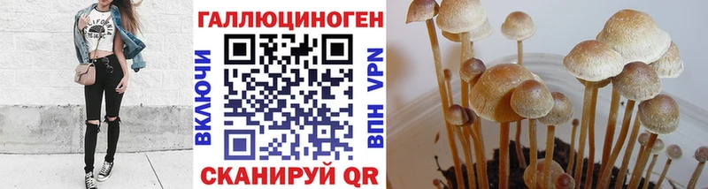 купить Разумное hydra как войти Галлюциногенные грибы Cubensis
